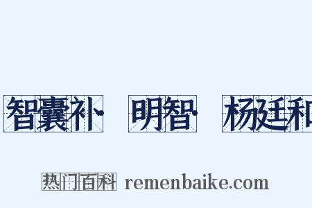 智囊补·明智·杨廷和是什么意思的图片